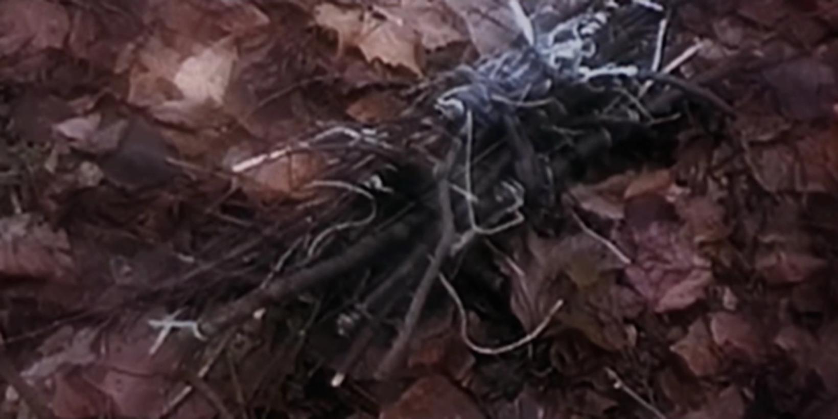 The Blair Witch Project