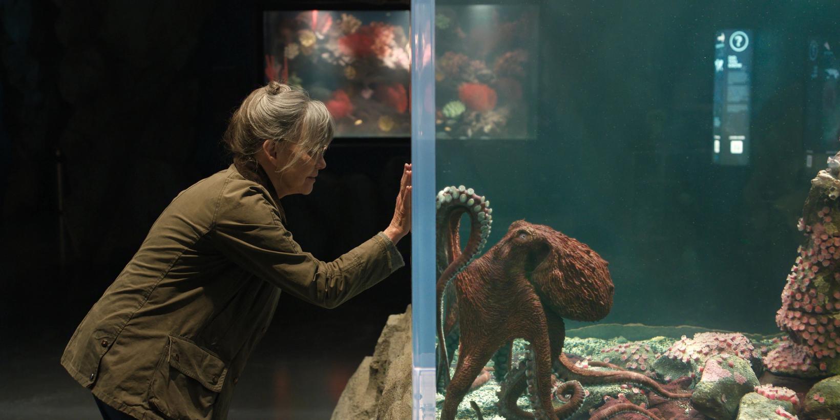 Sally Field i Remarkably Bright Creatures