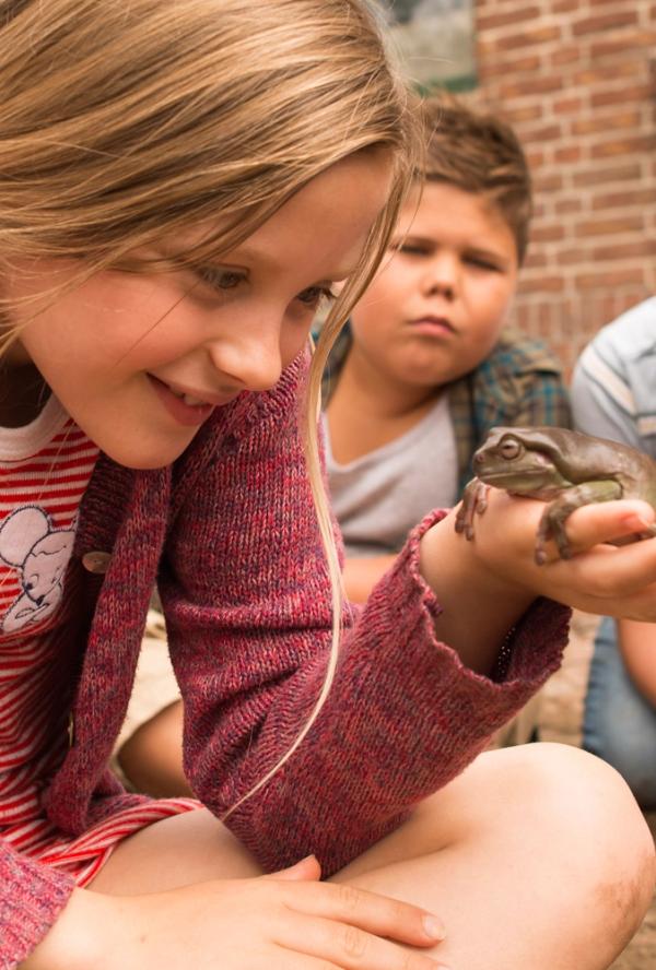 Bilde fra 'Lærer Frosk'
