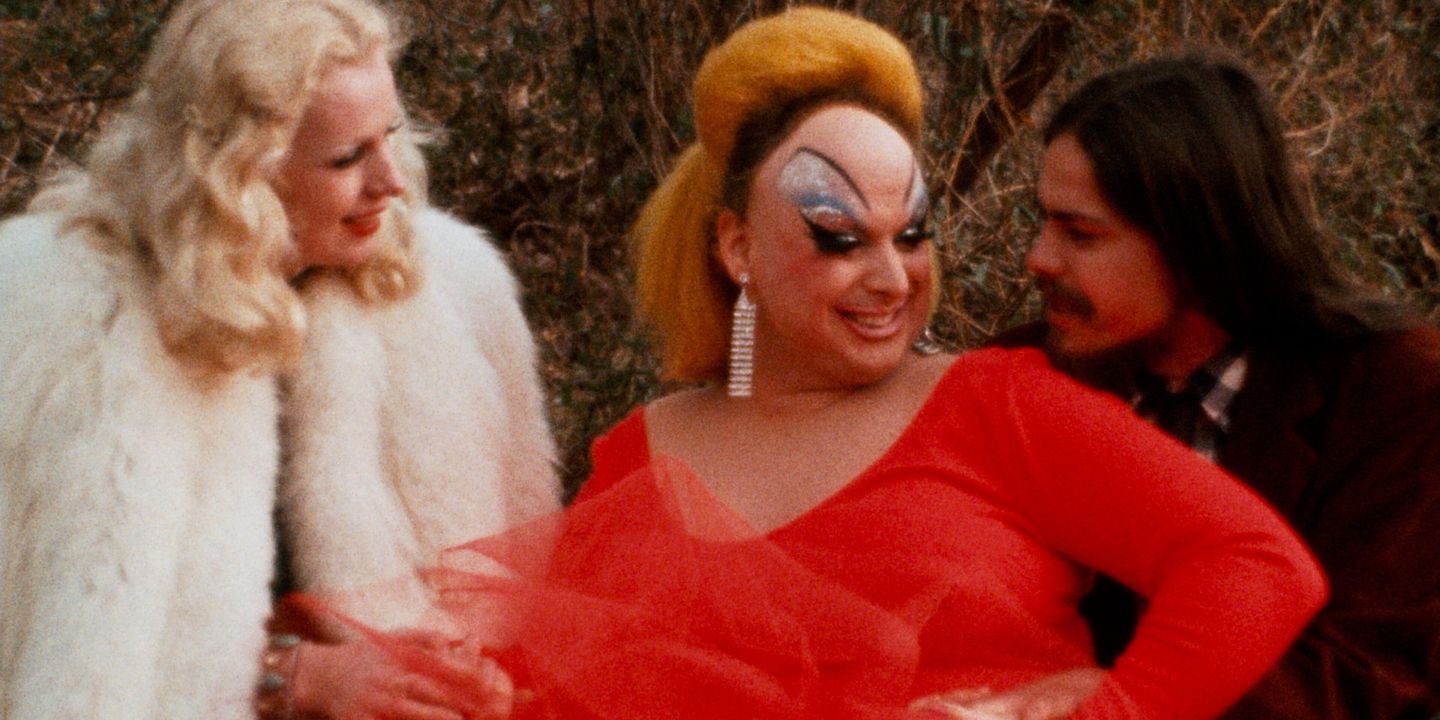Pink Flamingos