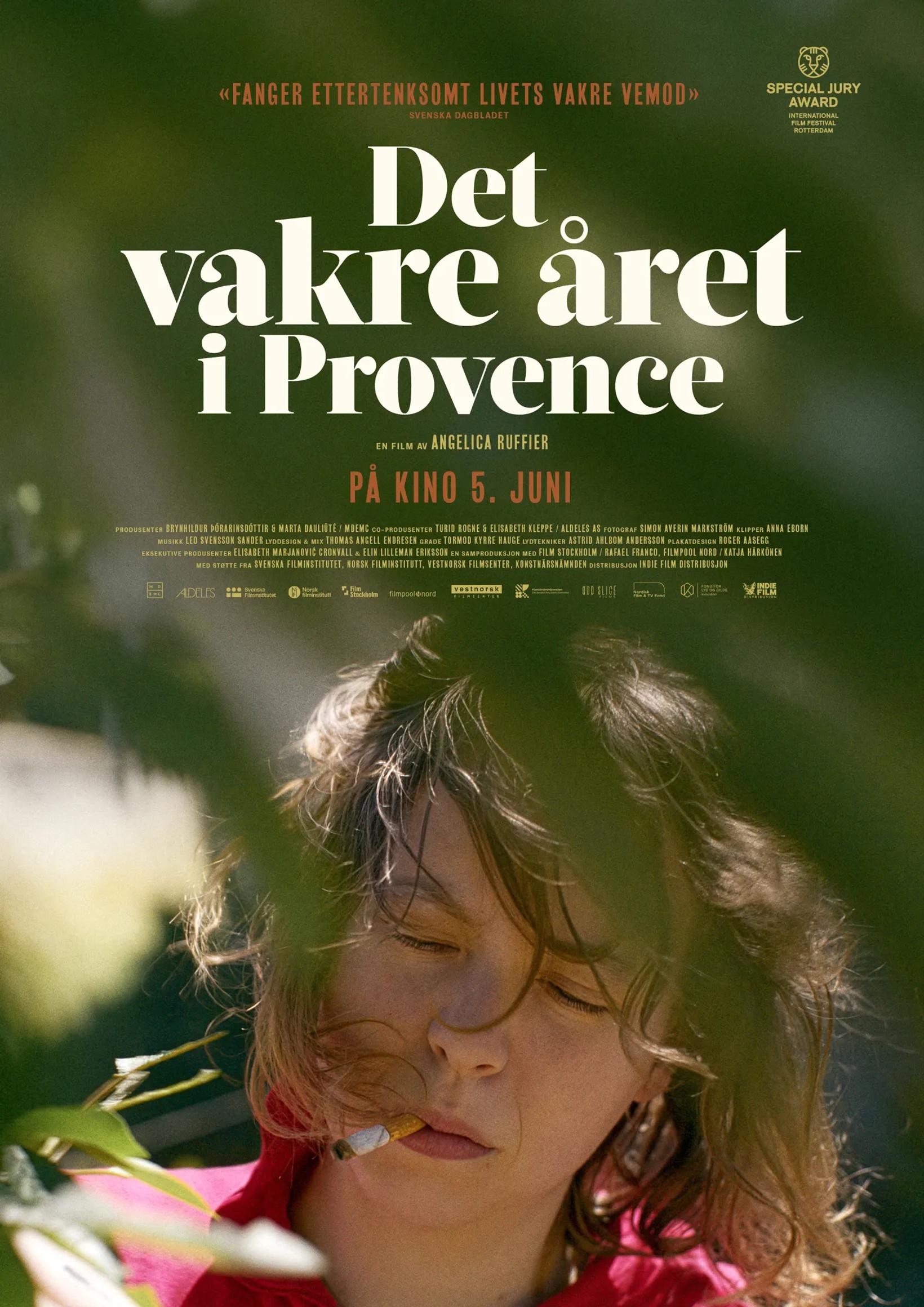 Det vakre året i Provence