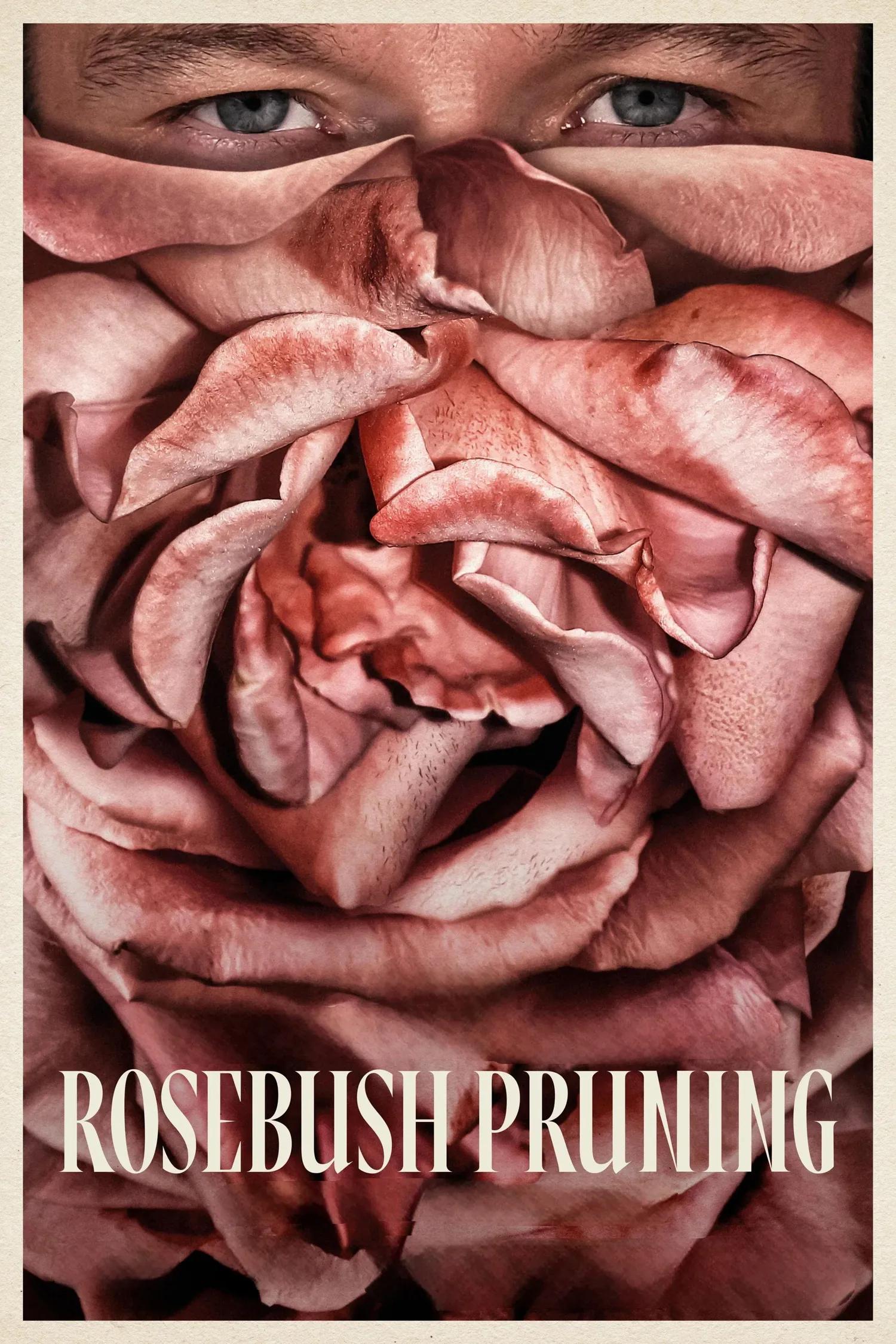 Bilde fra 'Rosebush Pruning'