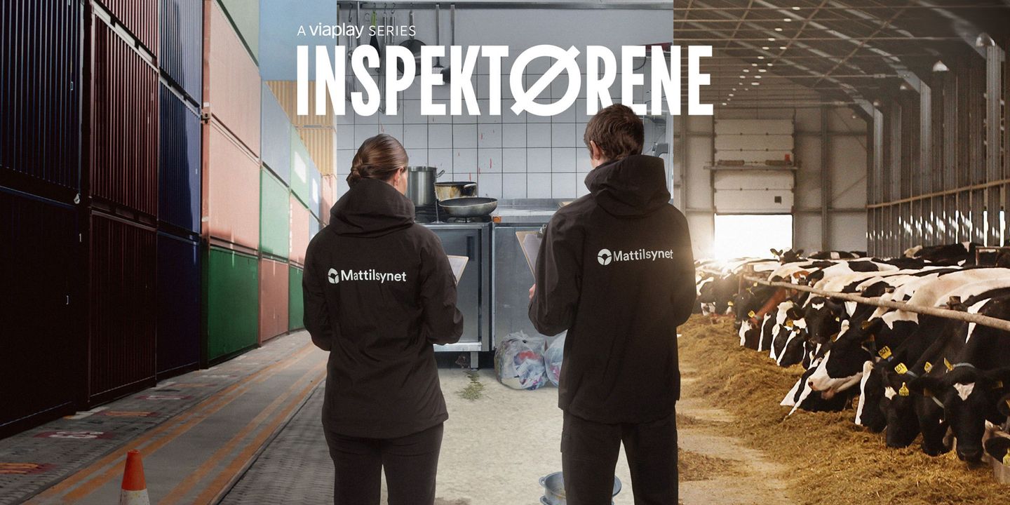 Promobilde for Inspektørene