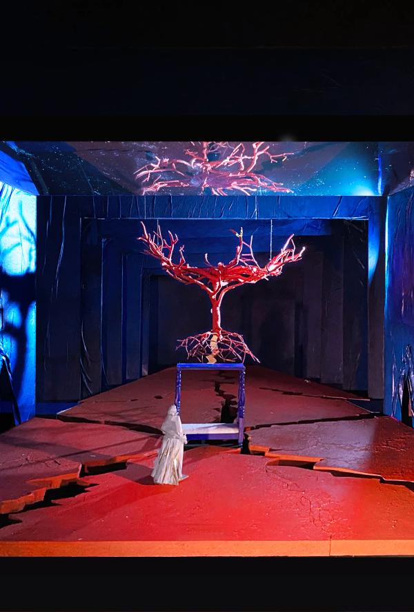 Bilde fra 'The Met Opera: El Último Sueño de Frida y Diego'