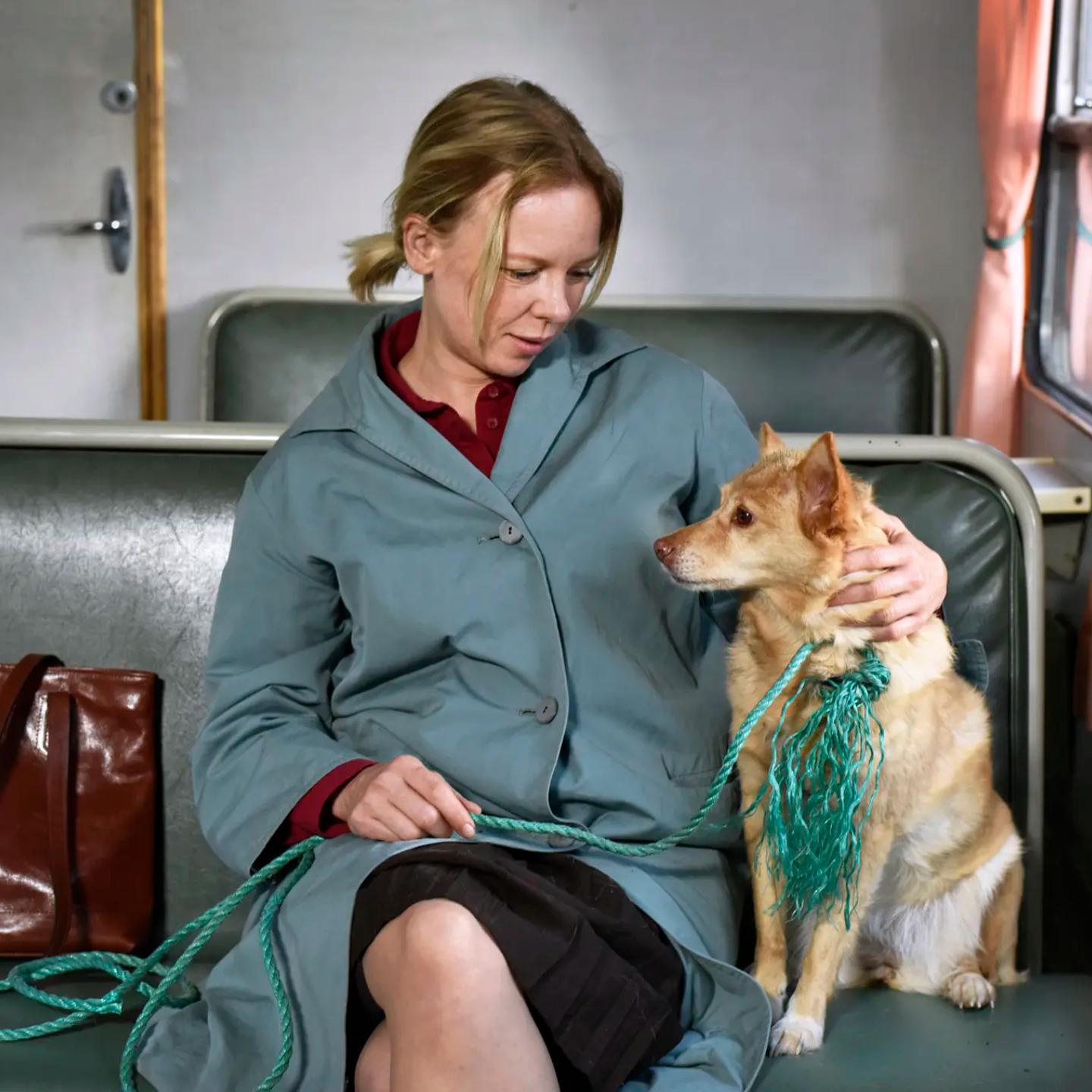 a person sitting on a bus with a dog