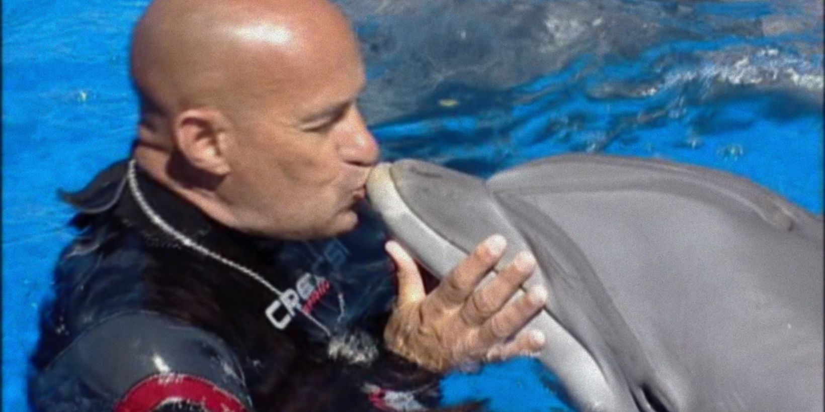 Den siste delfinkongen