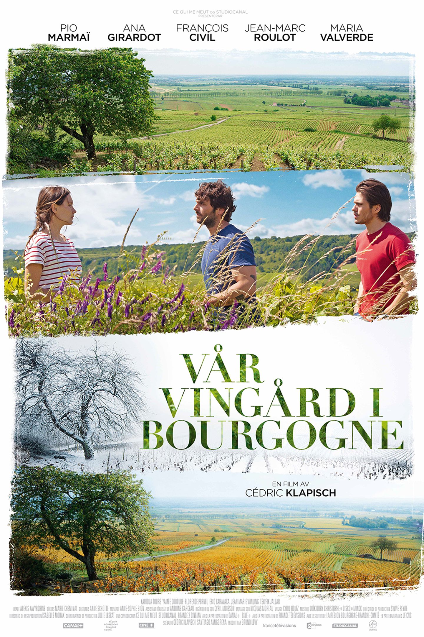 Vår vingård i Bourgogne