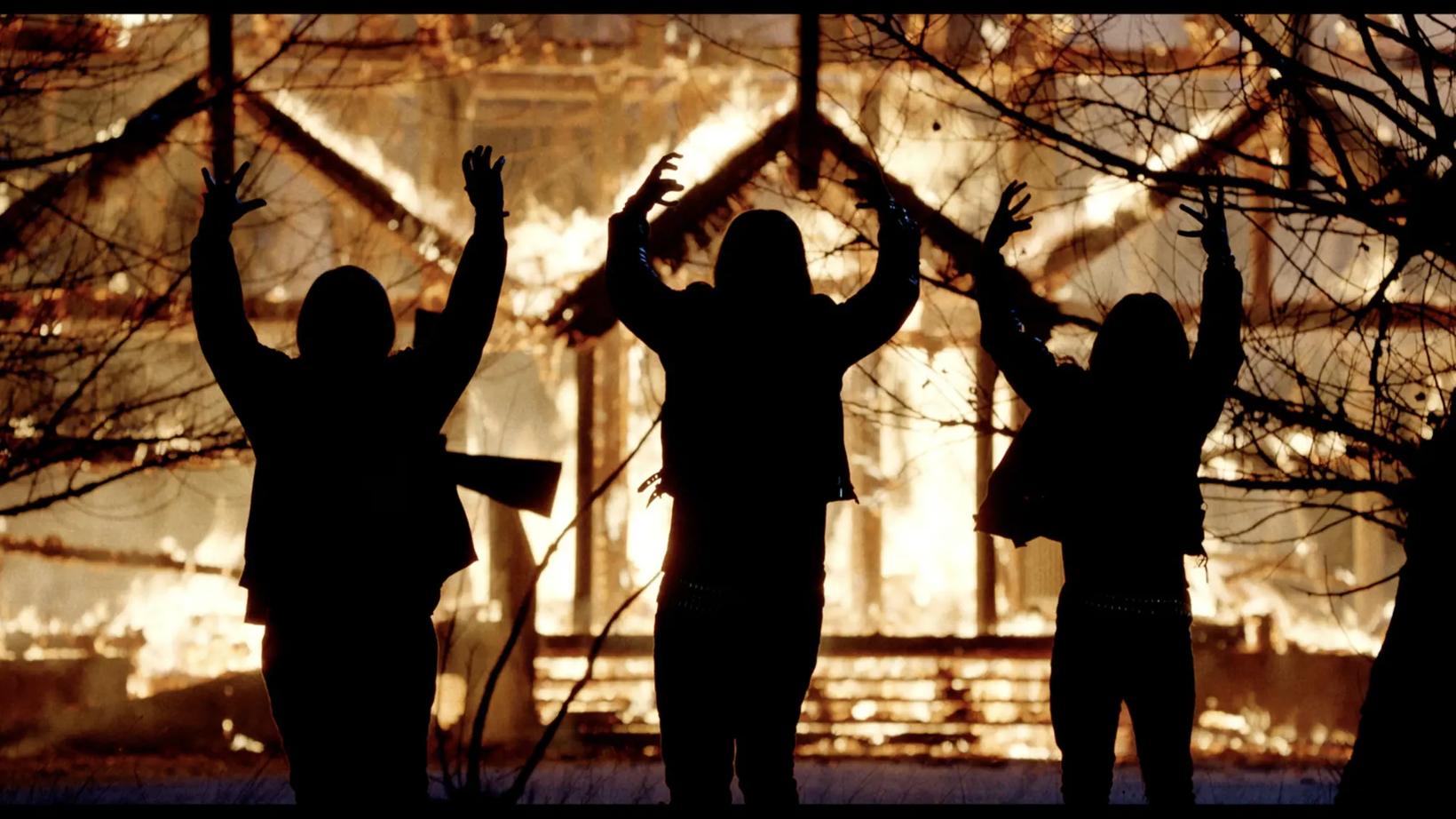 a group of people reaching for a tree