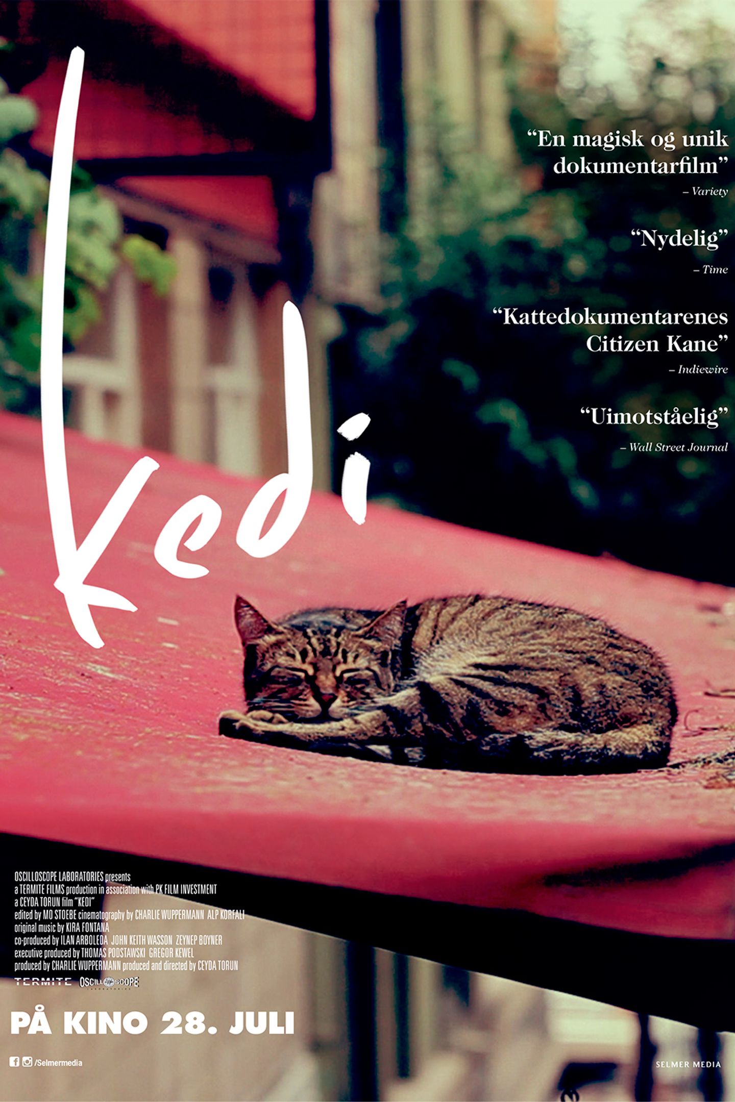 Plakat for 'Kedi'