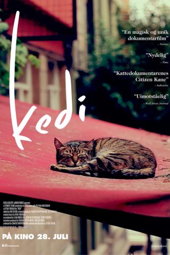 Plakat for 'Kedi'