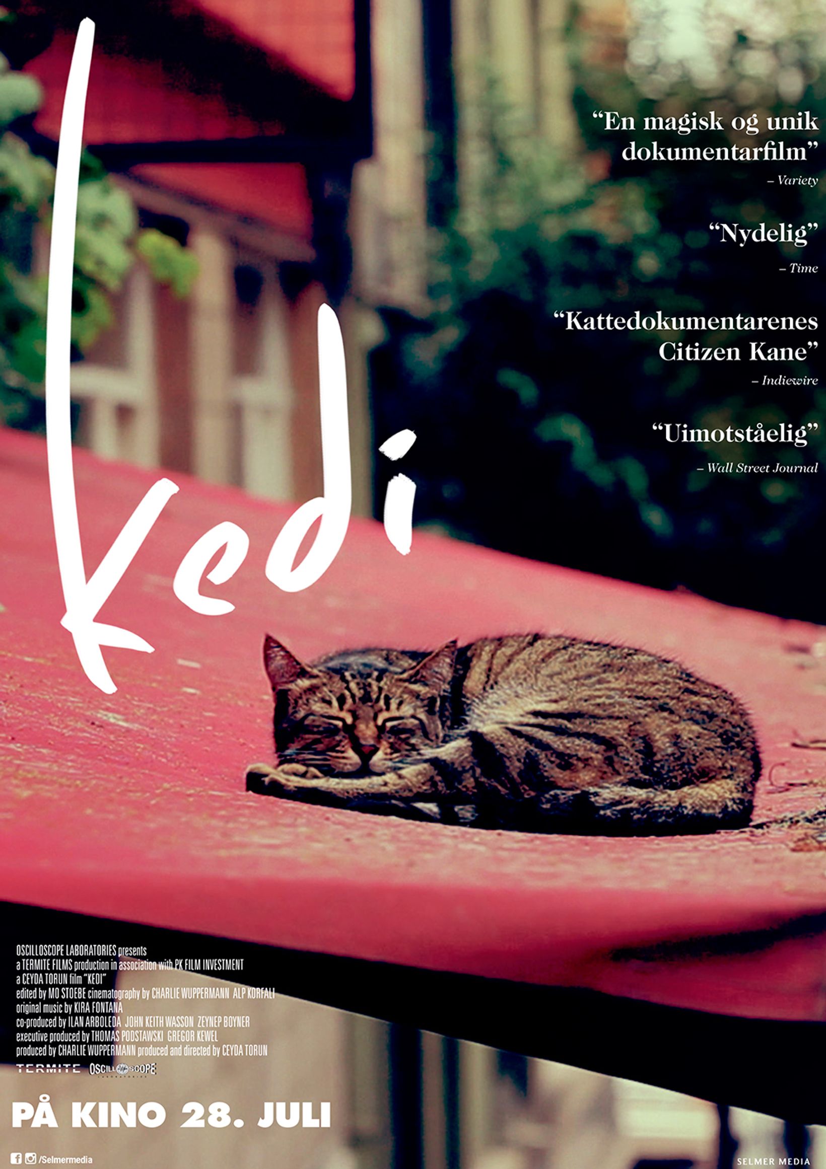 Plakat for 'Kedi'