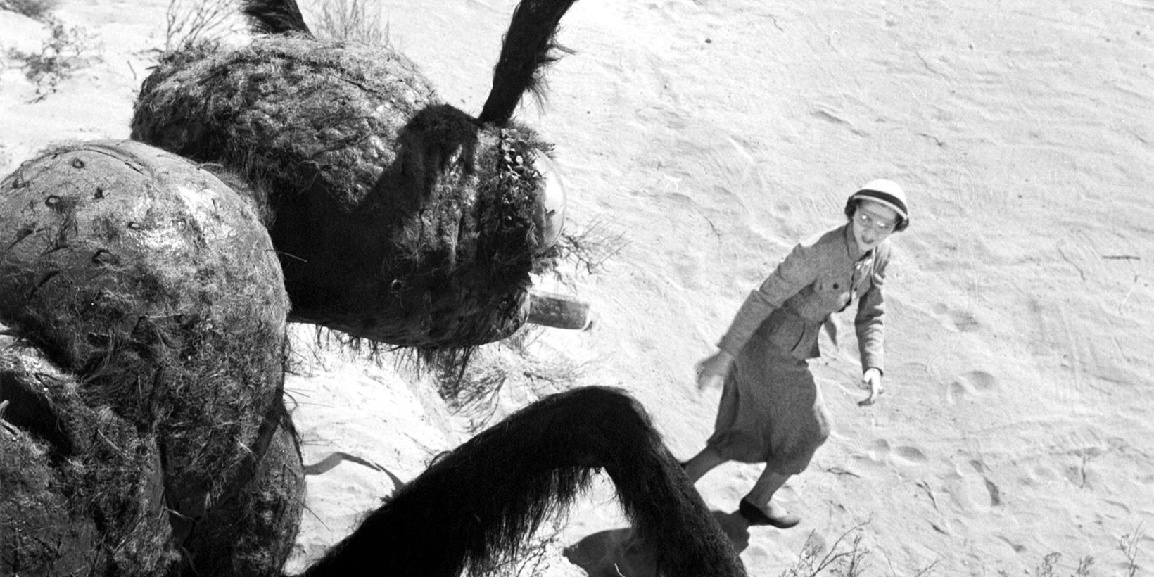 Them! (1954)