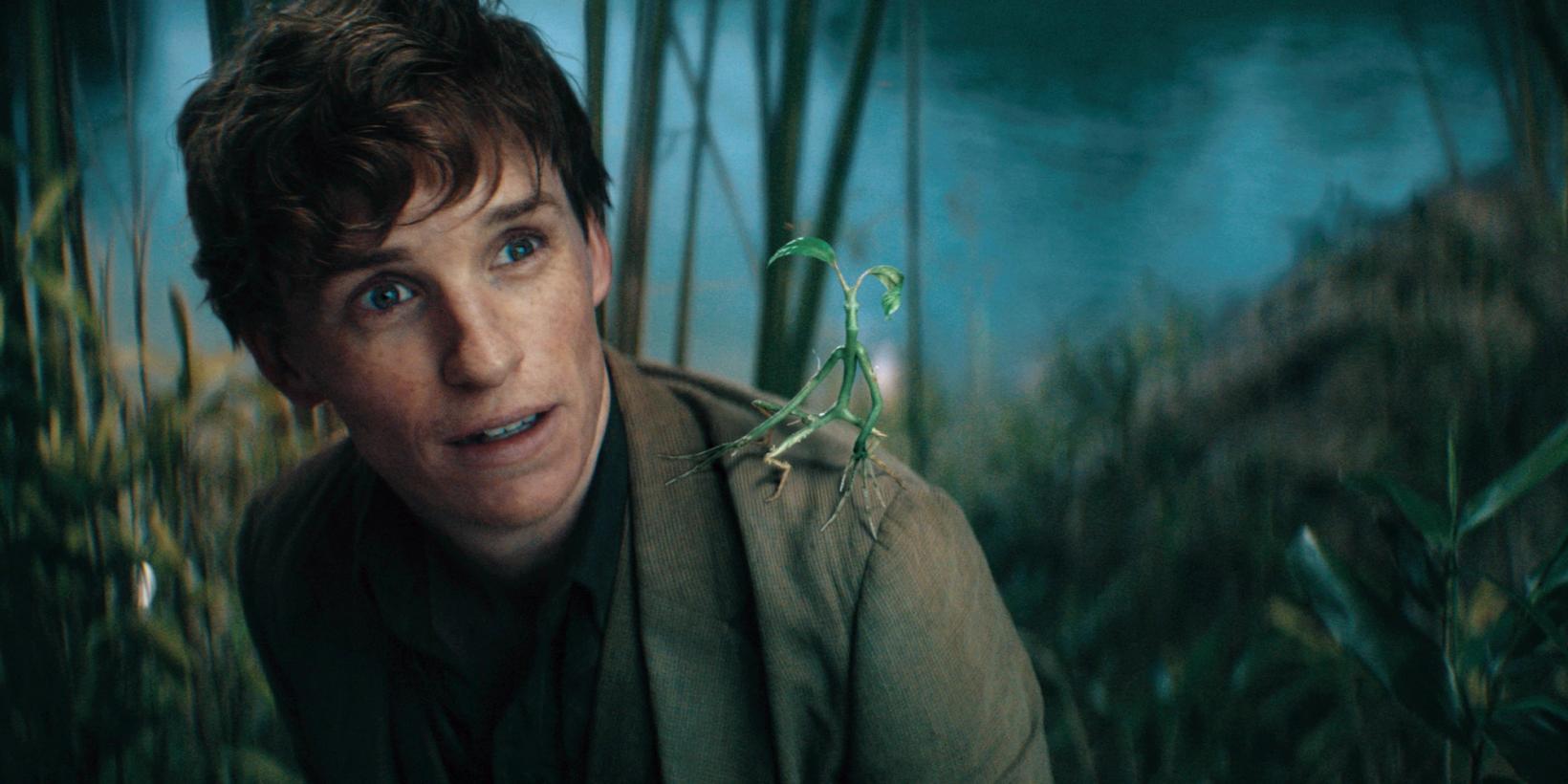 Eddie Redmayne i Fabeldyr: Humlesnurrs hemmeligheter