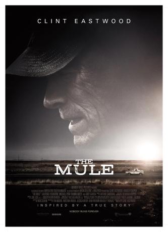 Plakat for 'The Mule'