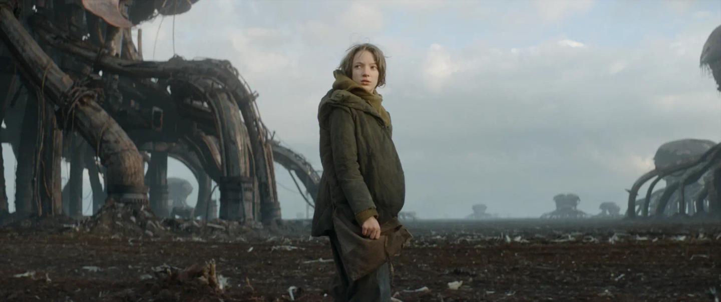 a person standing in a field with a group of military tanks