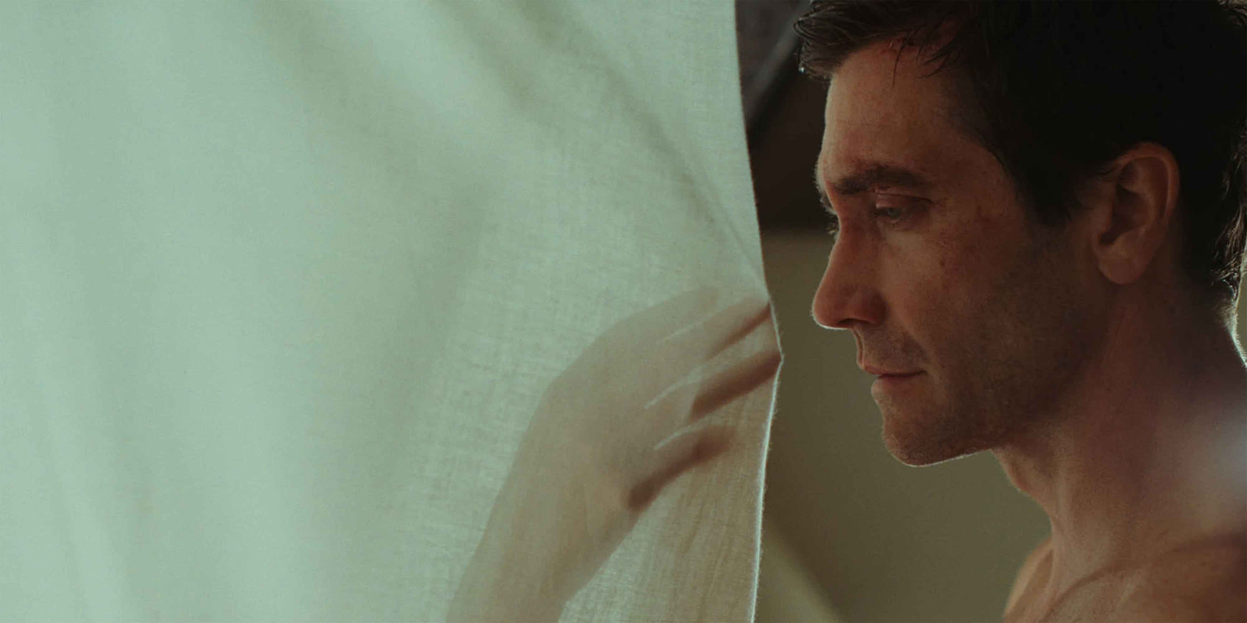 Jake Gyllenhaal i Remain