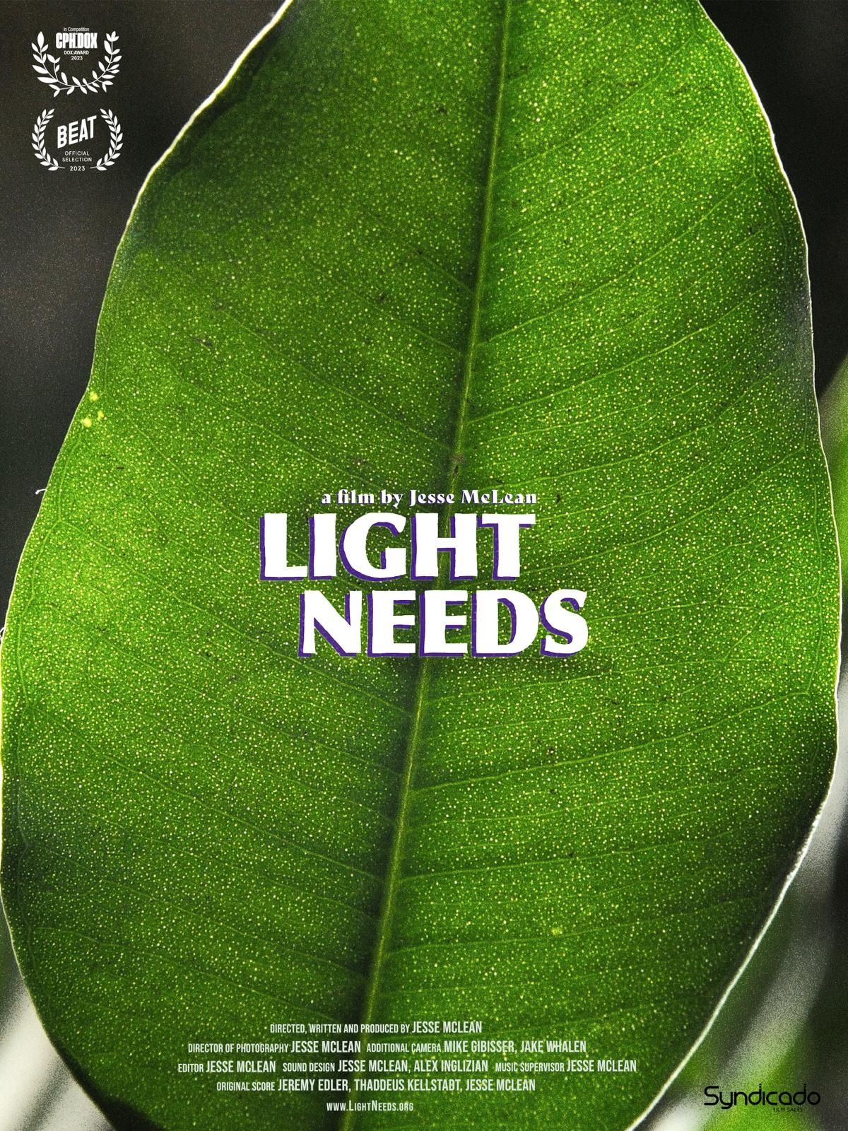 Light Needs