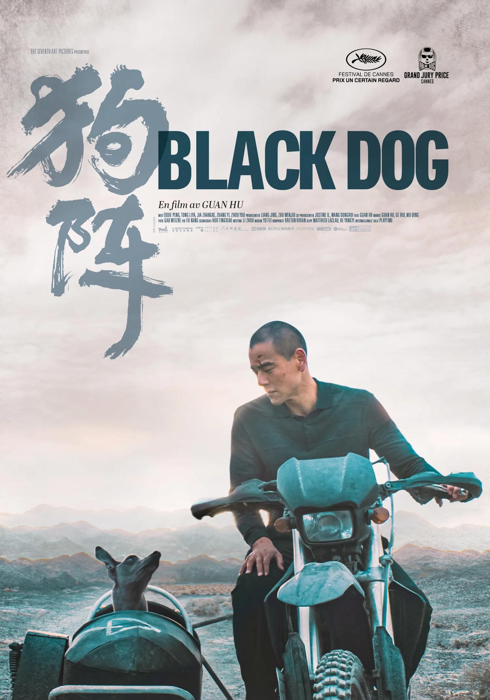 Black Dog