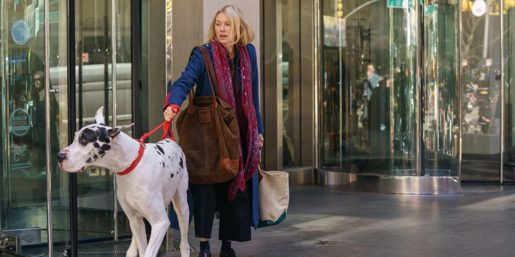 Naomi Watts i The Friend