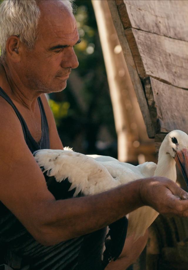 Bilde fra 'Sagnet om Silyan'
