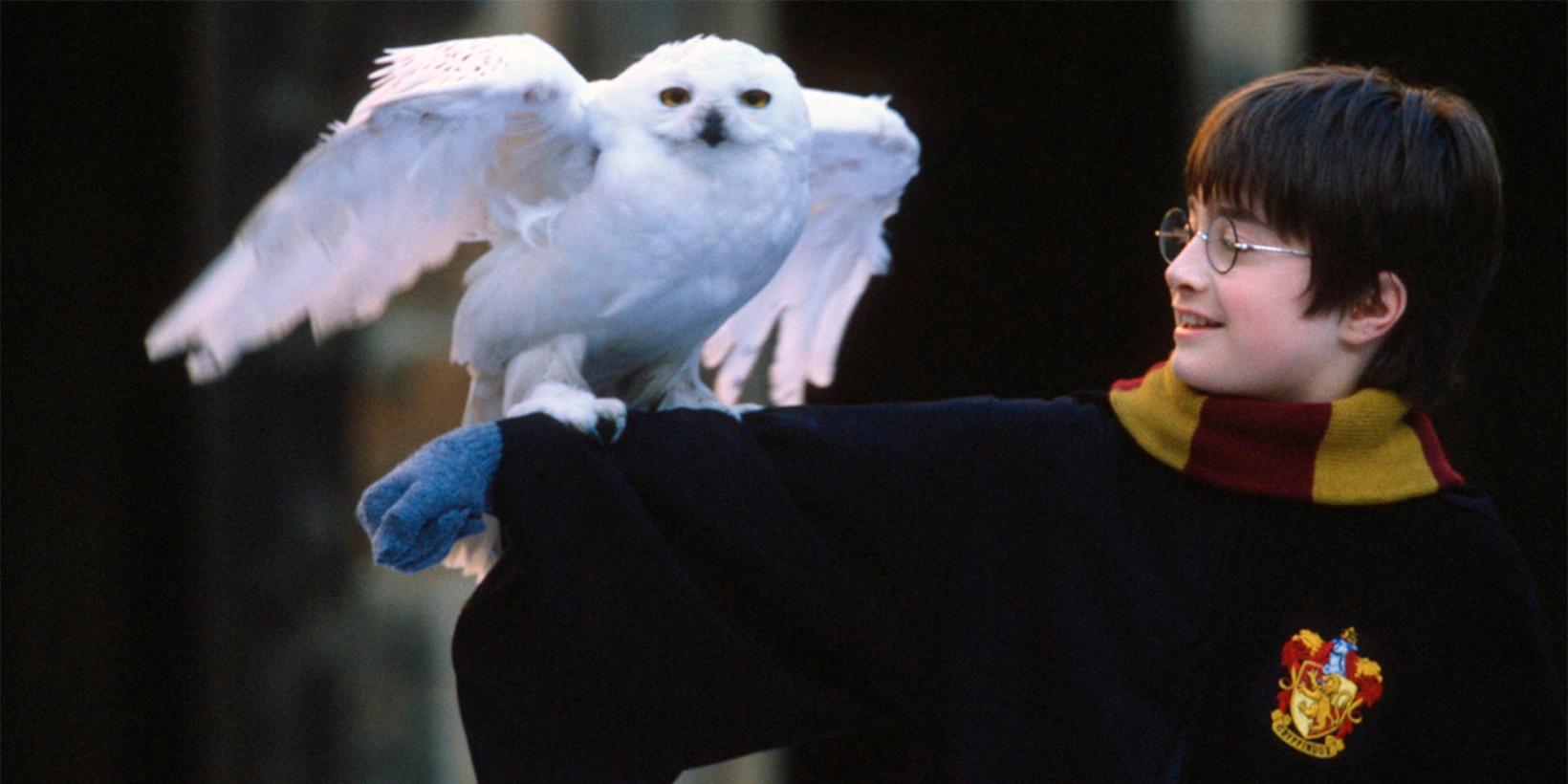 Daniel Radcliffe i Harry Potter og de vises stein