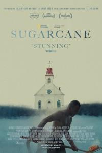 Plakat for 'Sugarcane'
