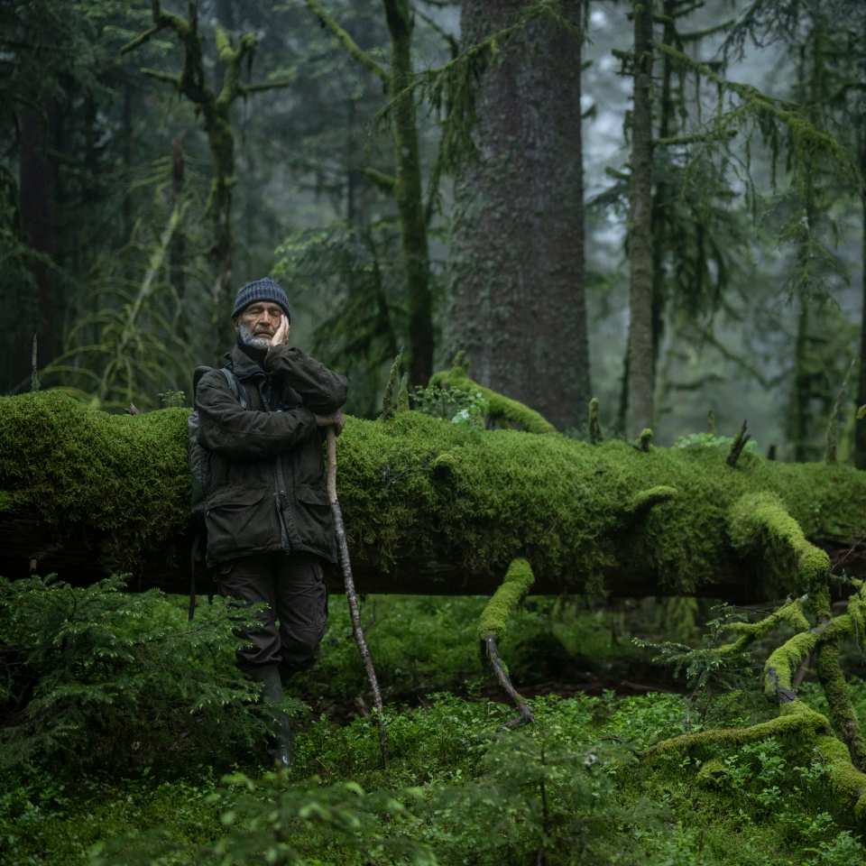 Bilde fra 'Sangen fra skogene'