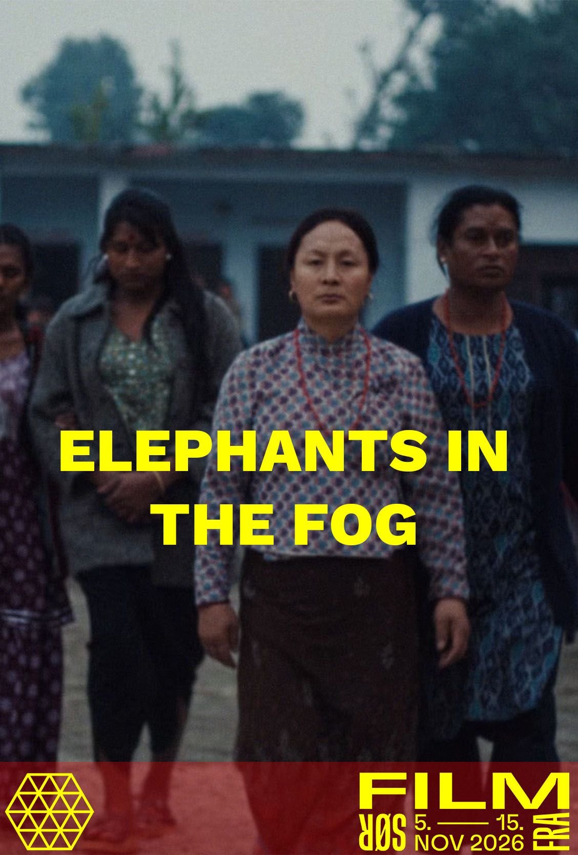 Elephants in the Fog