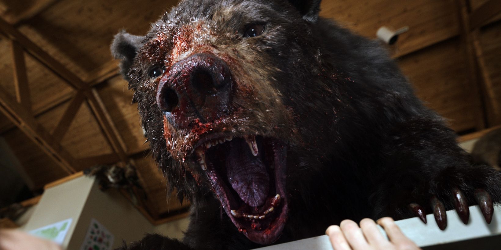 Cocaine Bear