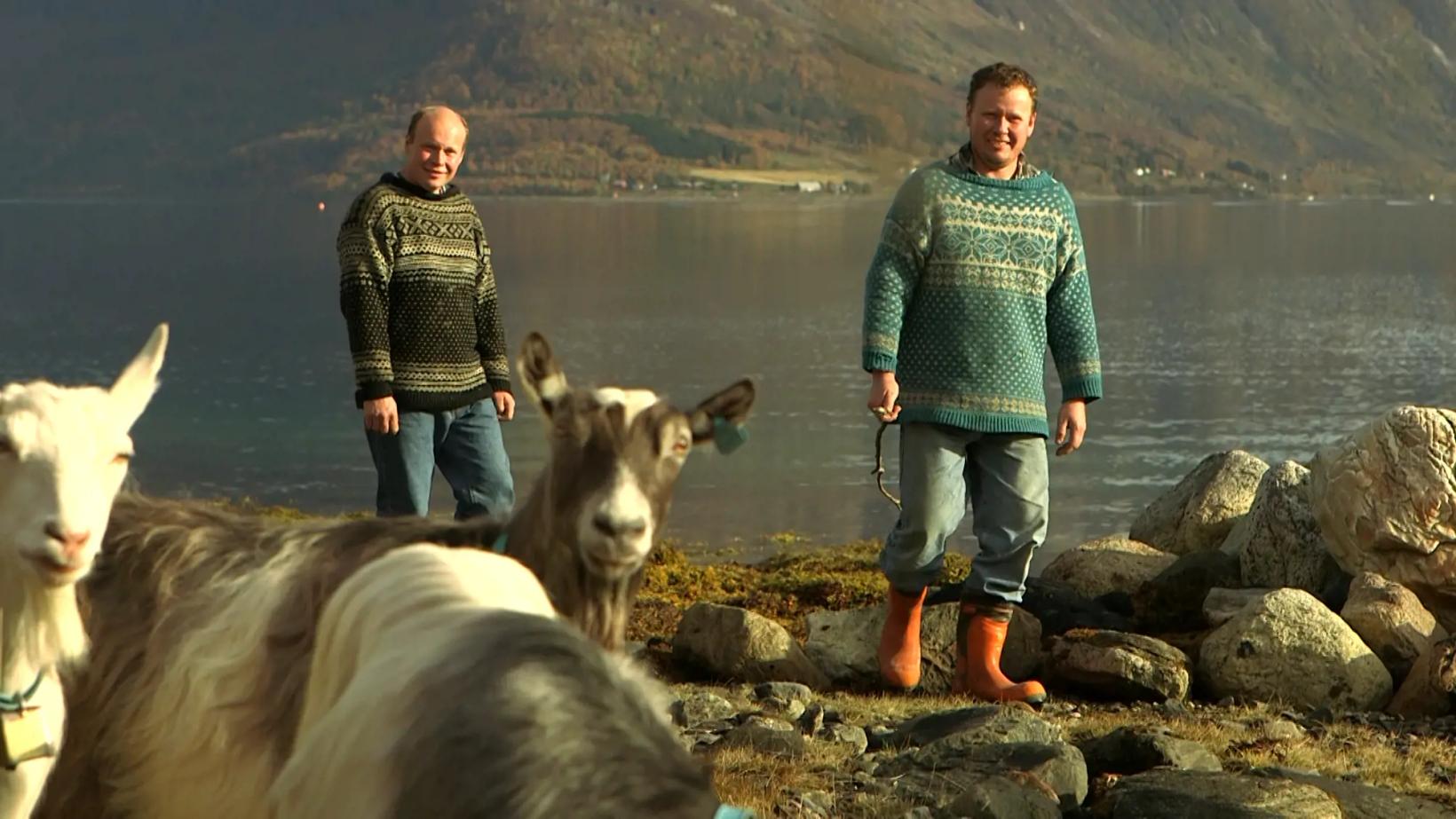 a couple of men standing next to some animals on a rocky shore