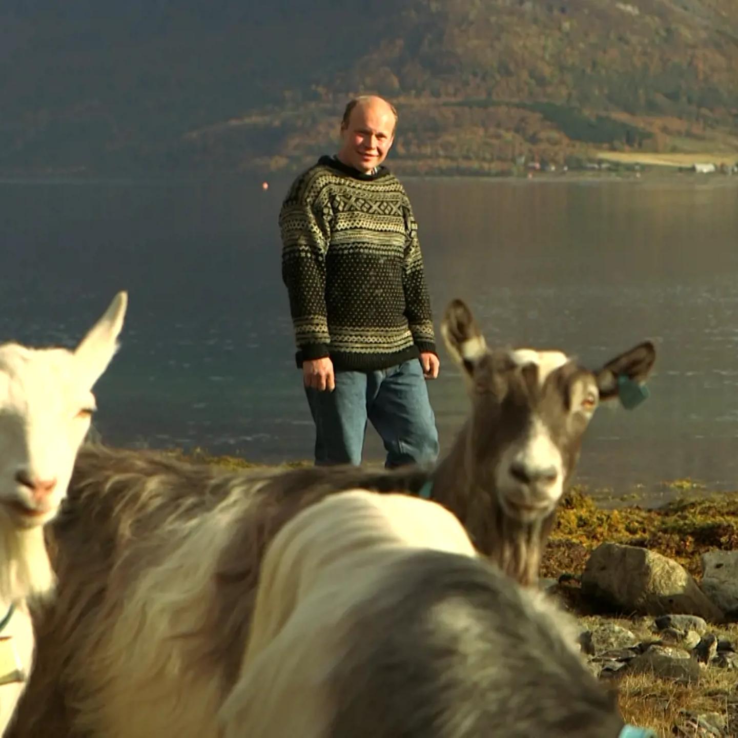 a couple of men standing next to some animals on a rocky shore