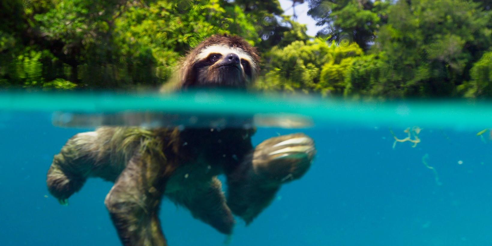 Planet Earth II/Planeten vår 2