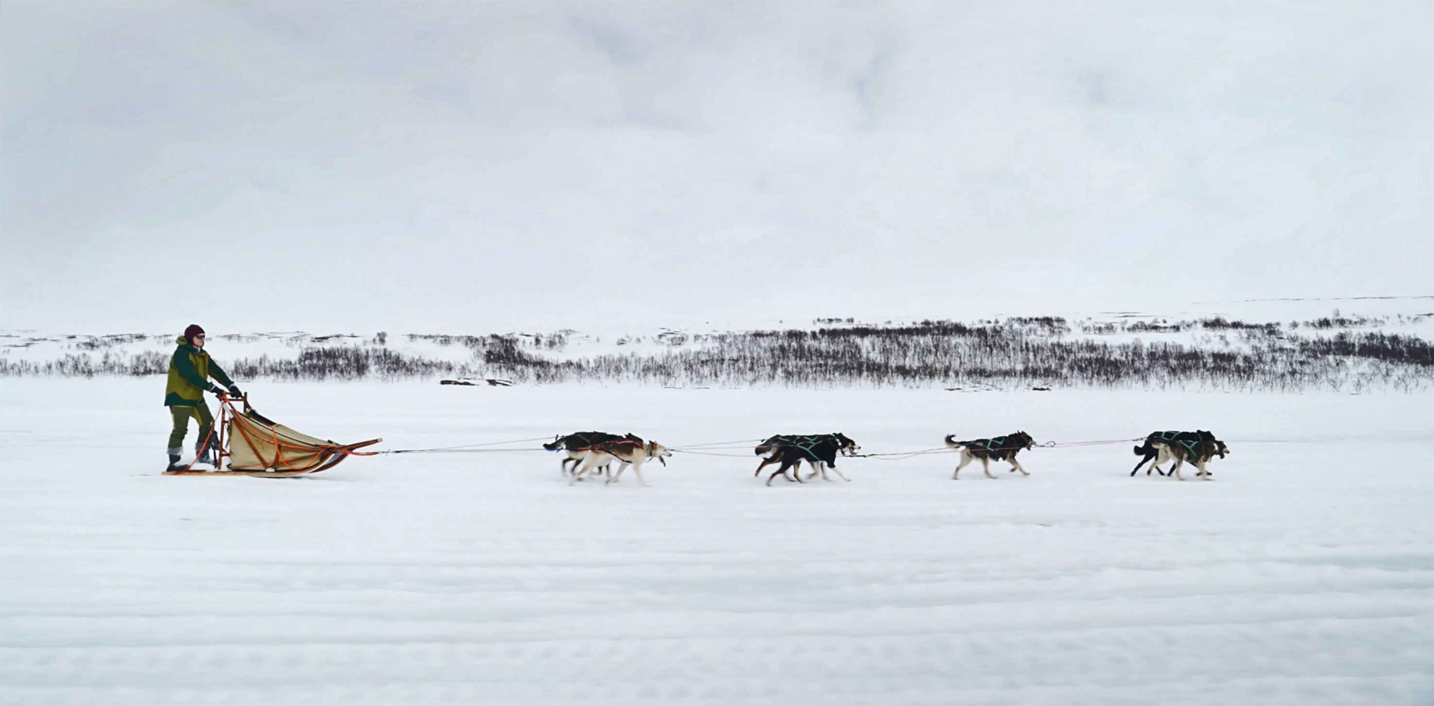Bilde fra 'Døden på vidda'