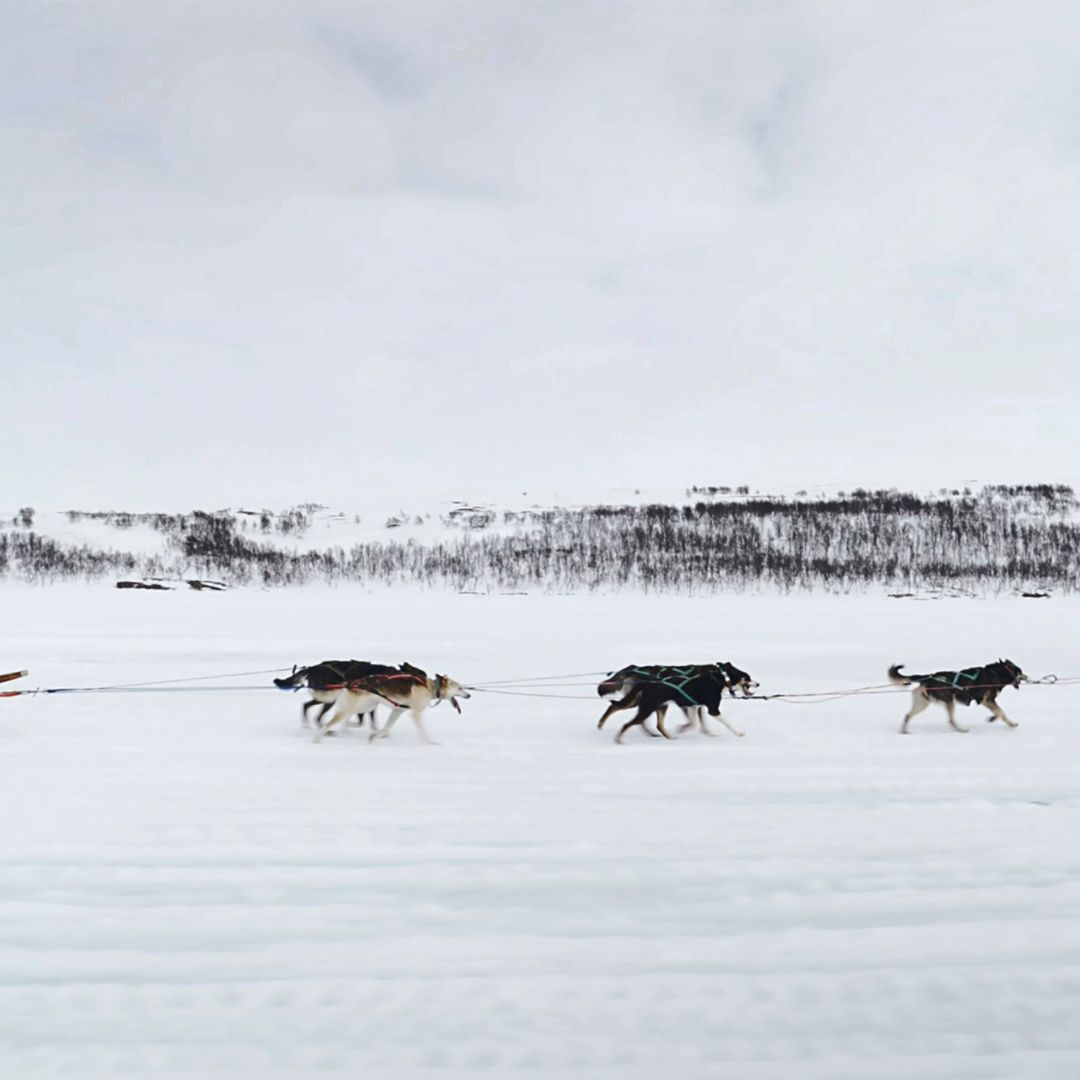 Bilde fra 'Døden på vidda'