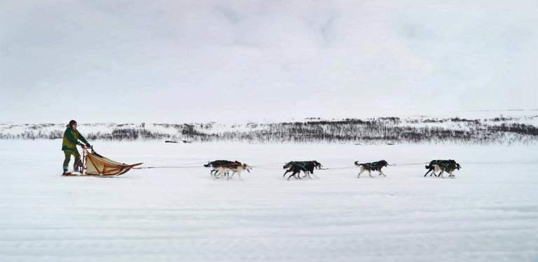 Bilde fra 'Døden på vidda'