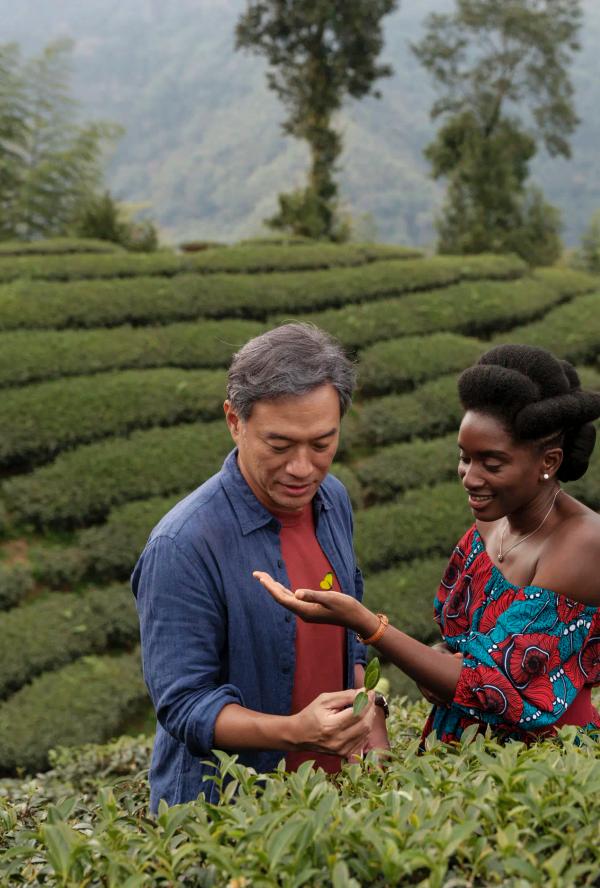 Bilde fra 'Black Tea'