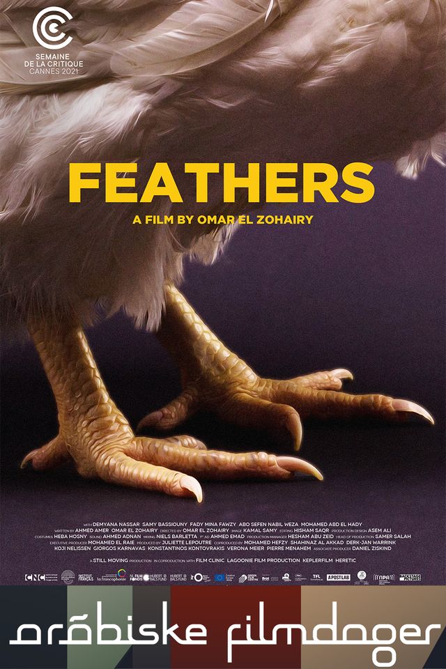 Feathers
