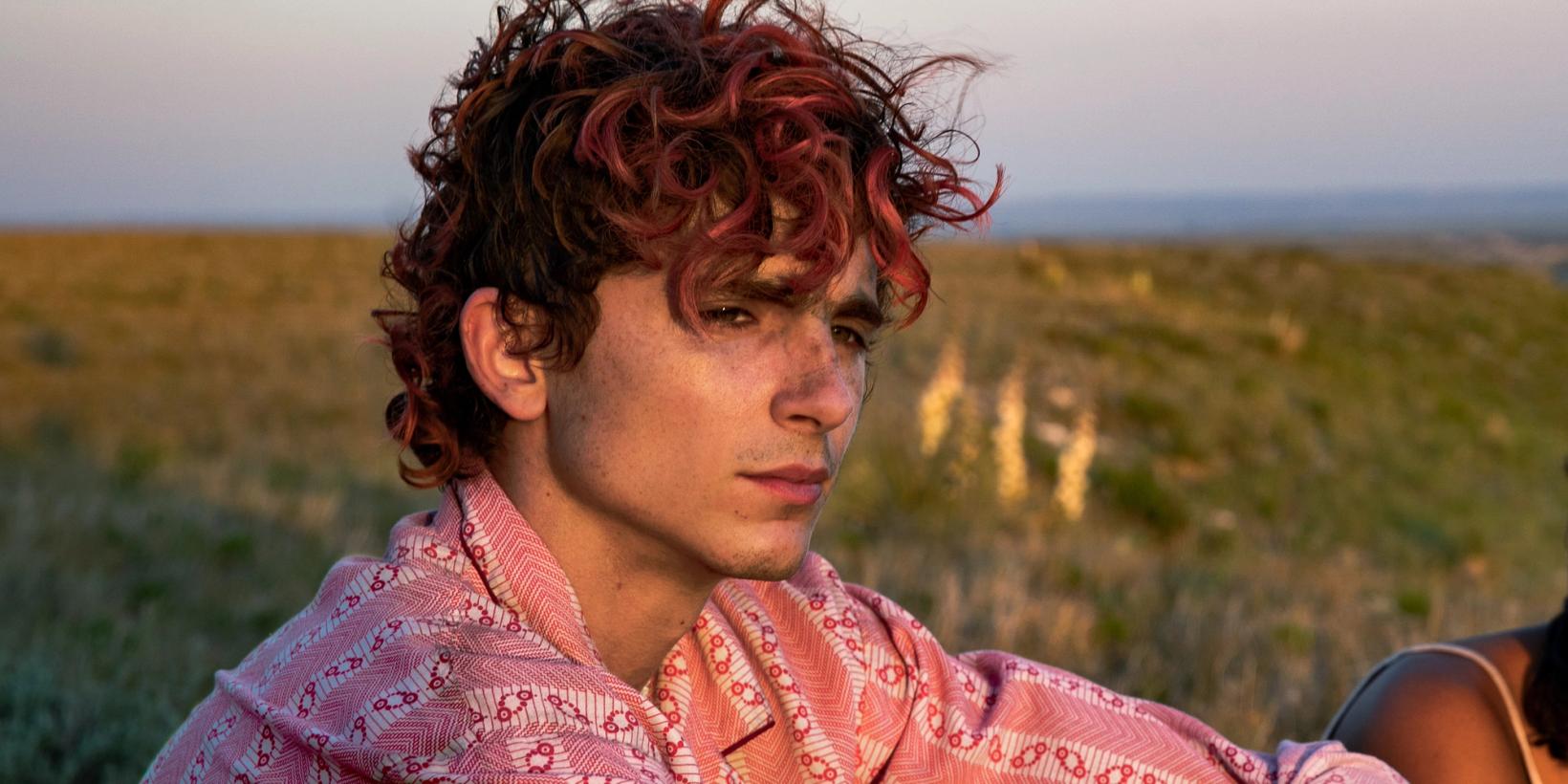 Timothée Chalamet i Bones and All