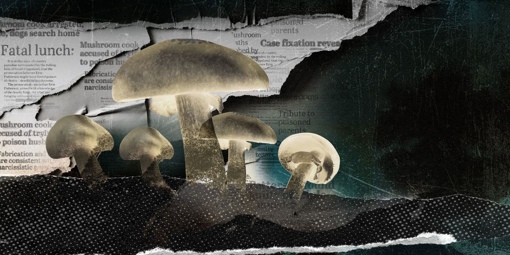 Promobilde for Dødelig familiemiddag/Death Cap: The Mushroom Murders