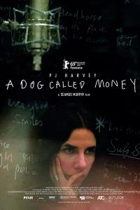 Plakat for 'A Dog Called Money'