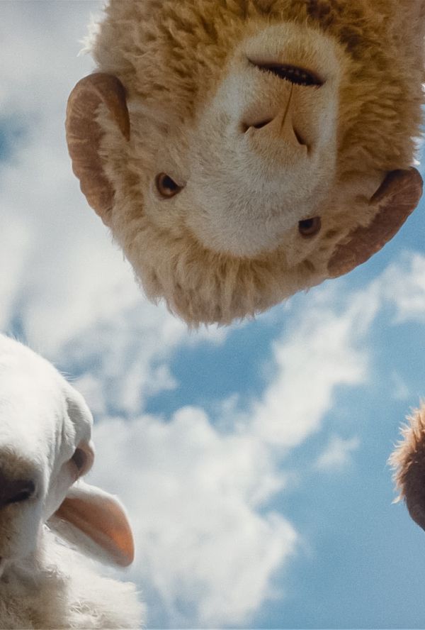 Bilde fra 'Sauedetektivene'