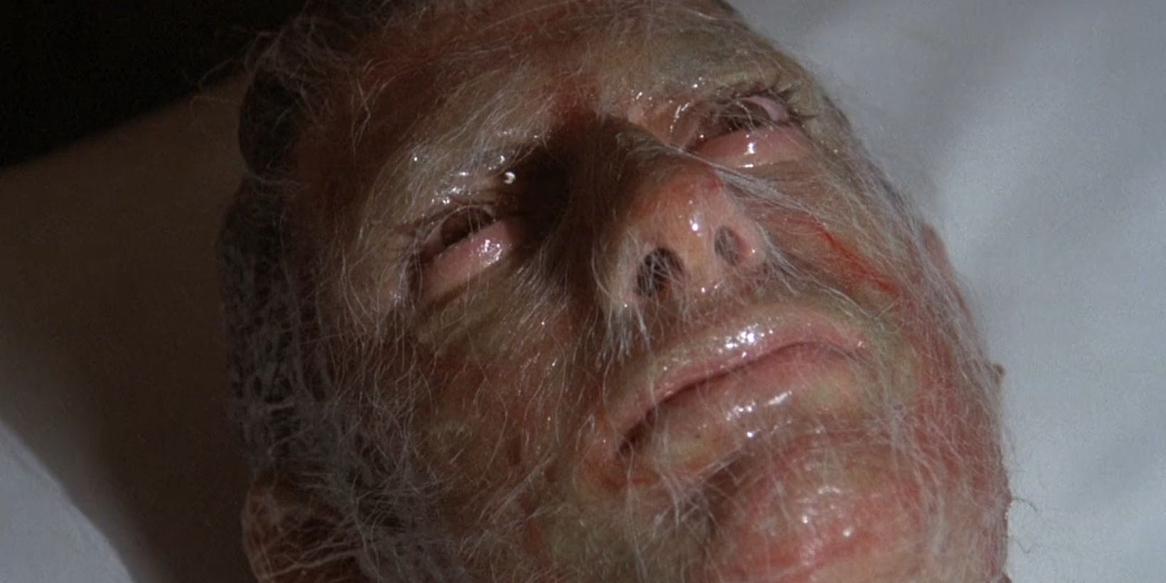 Invasion of the Body Snatchers (1978)