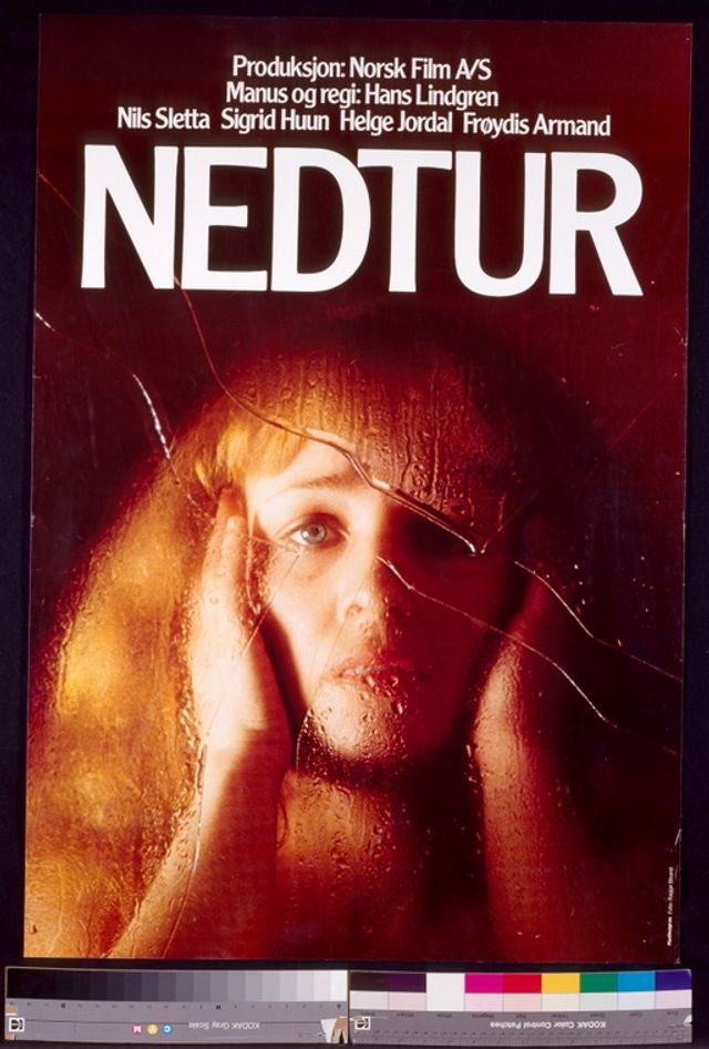 Nedtur