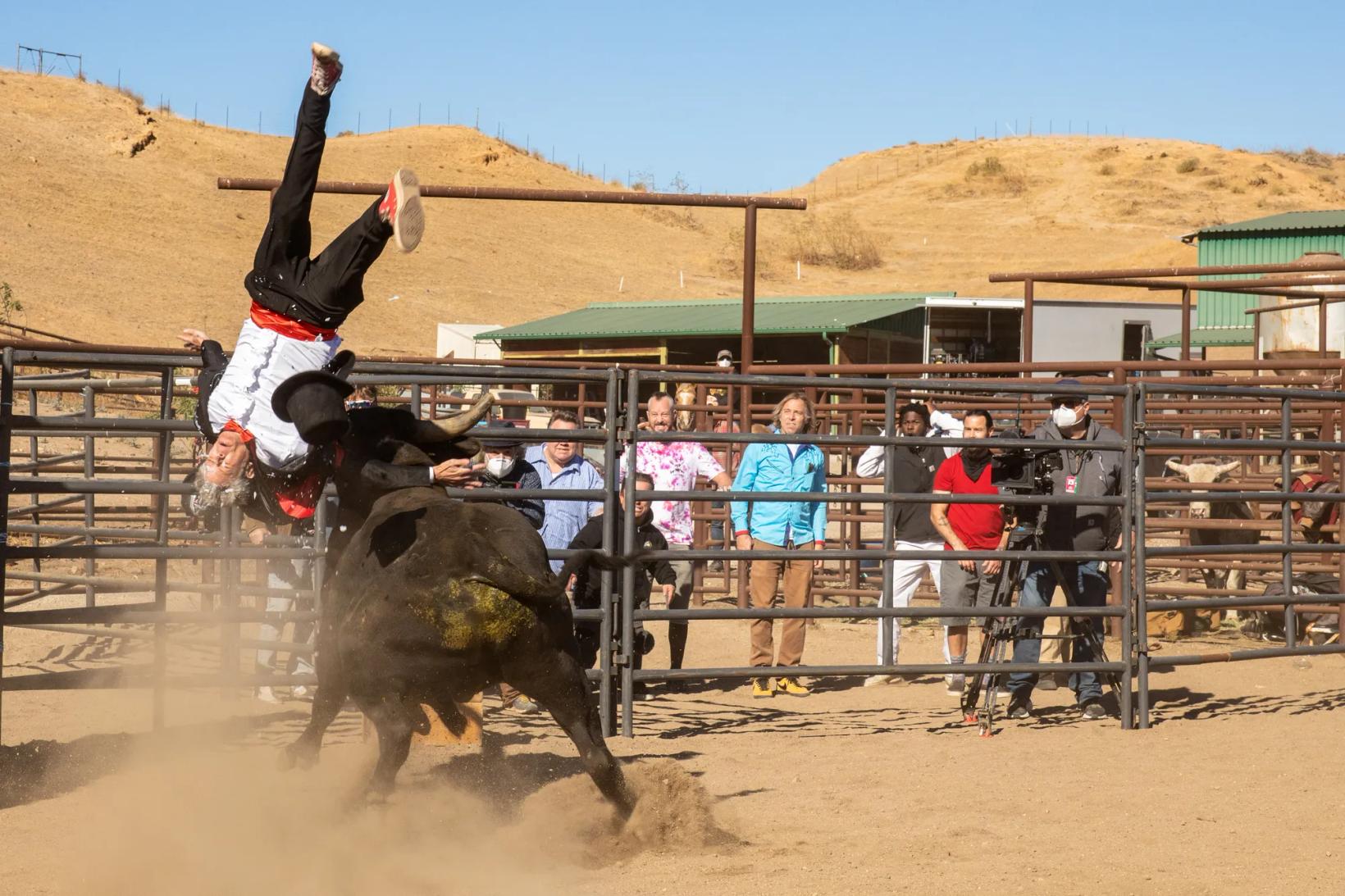 a person riding a bull in a rodeo