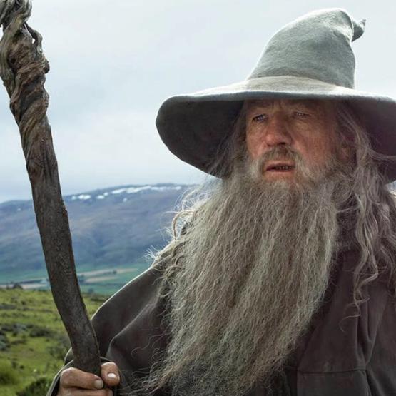 Ian McKellen i Ringenes herre