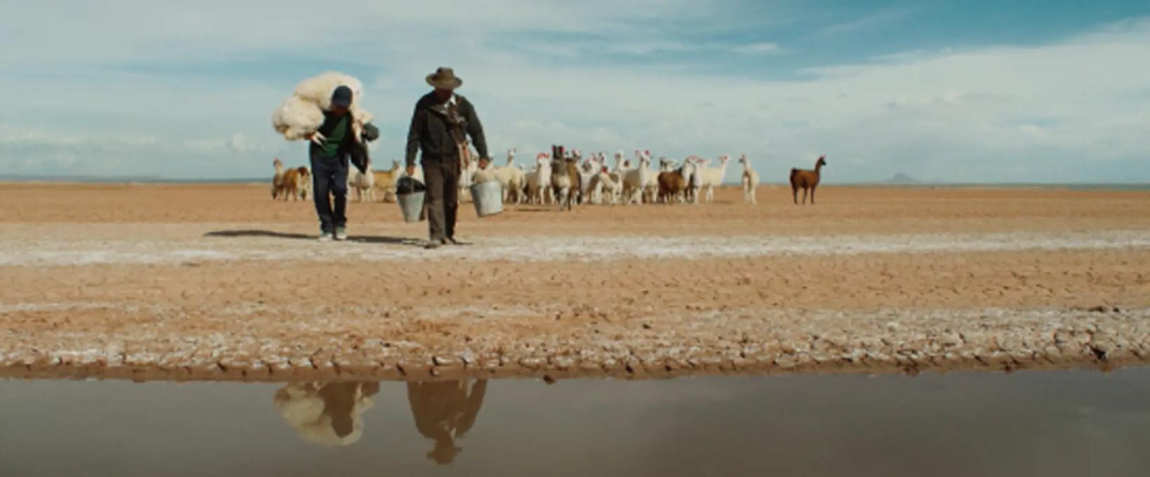 a group of people walking on a beach with horses