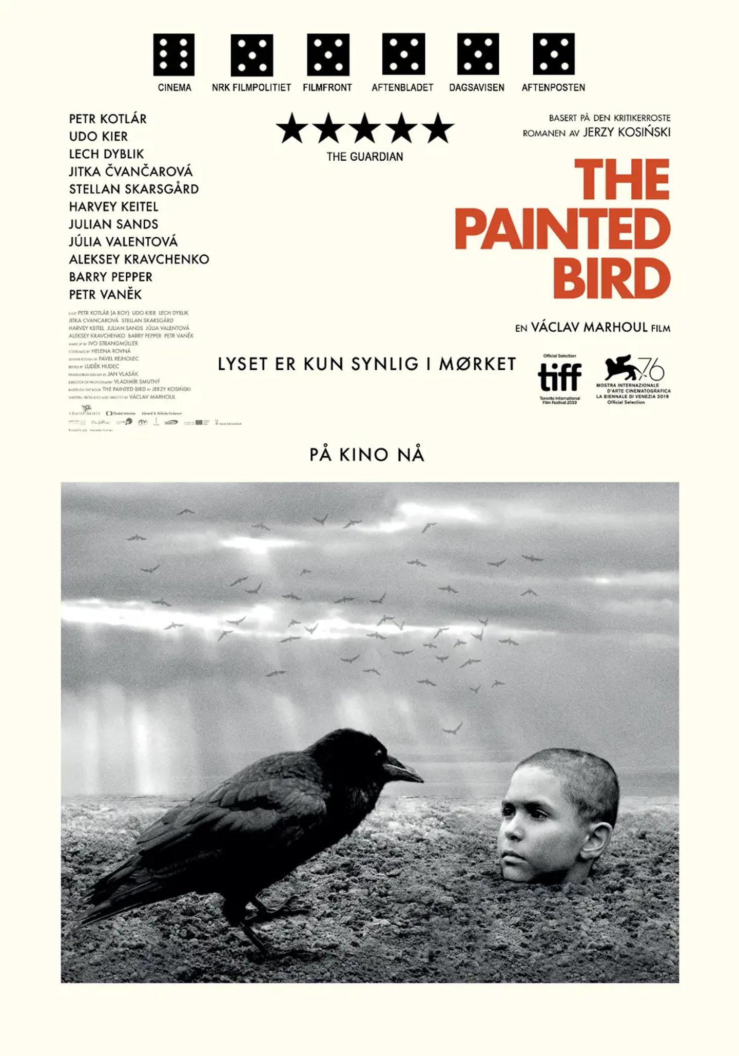 Plakat for 'The Painted Bird'
