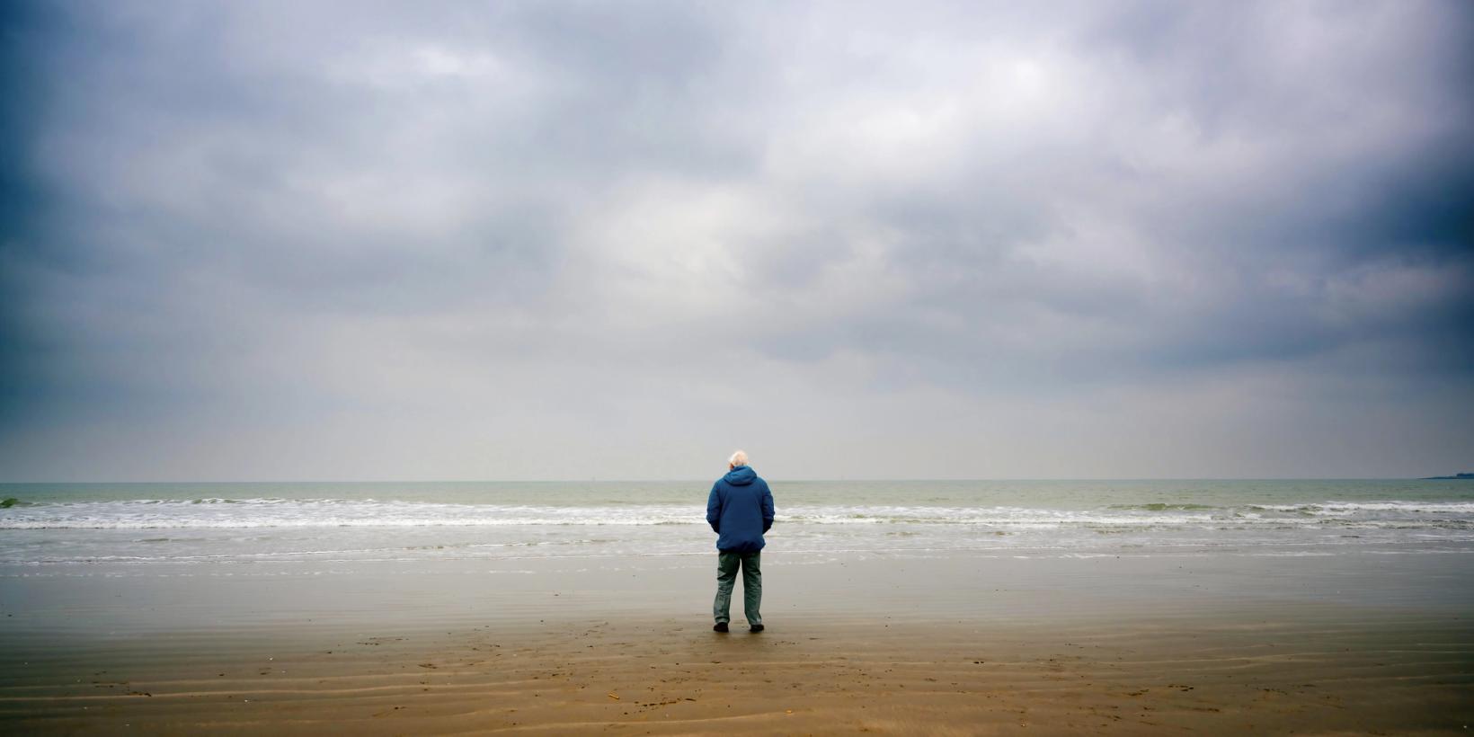 Stillbilde fra Ocean with David Attenborough