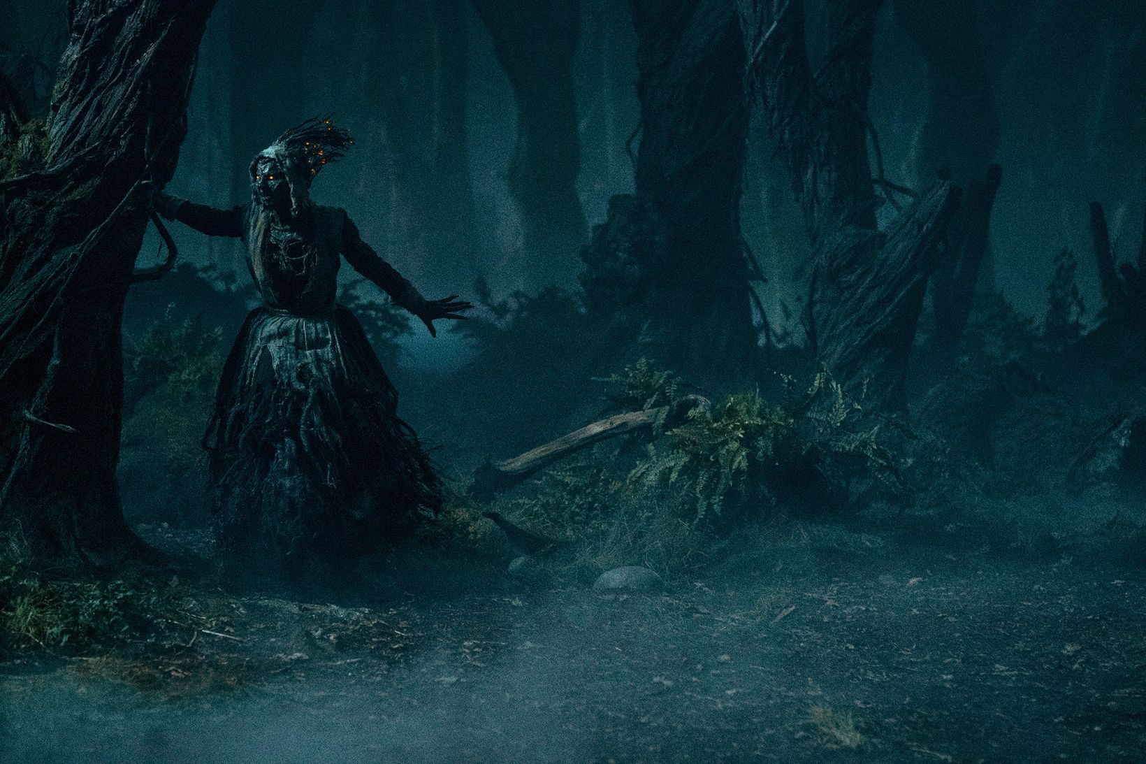 Guillermo del Toro's Cabinet of Curiosities