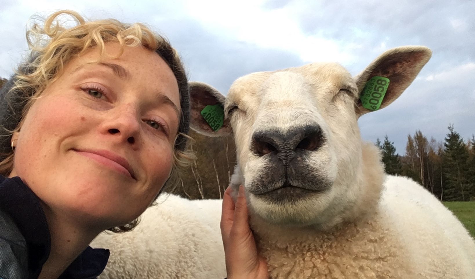 a person taking a selfie with a llama